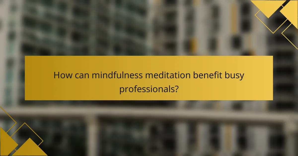 How can mindfulness meditation benefit busy professionals?