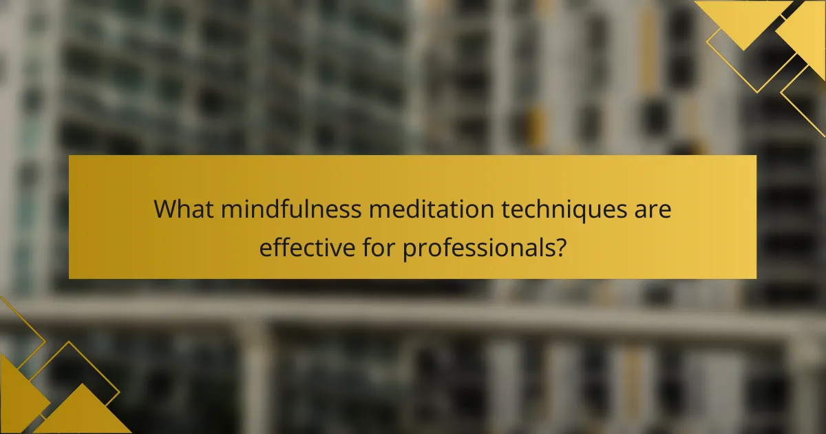What mindfulness meditation techniques are effective for professionals?